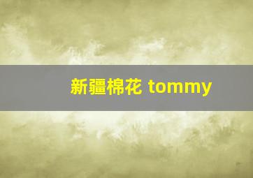 新疆棉花 tommy